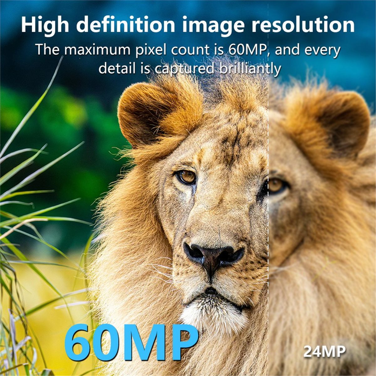 Outdoor Hunting Camera Wifi - กล้องติดตามสัตว์ป่า AS62 8K HD พร้อม WIFI