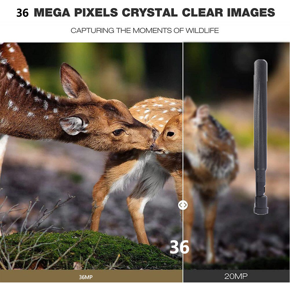 กล้องถ่ายภาพล่าสัตว์กลางแจ้ง H - Outdoor Hunting Pictures บทวิจารณ์และราคา