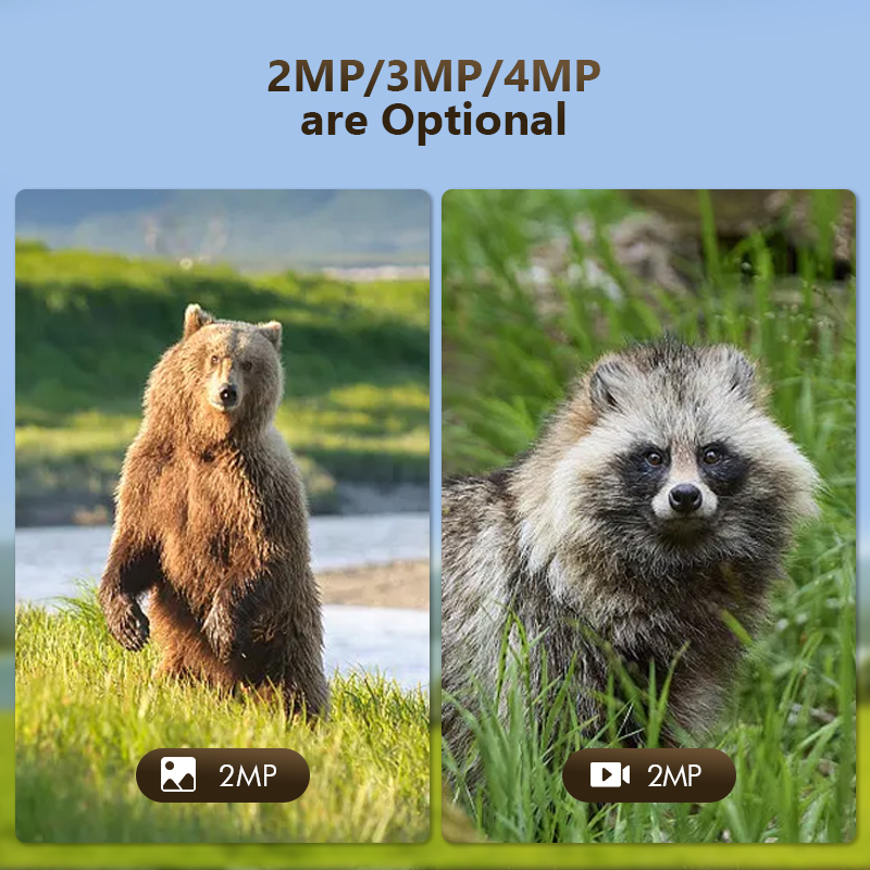 กล้องล่าสัตว์ป่ากลางแจ้ง4MP 4G - Outdoor Hunting Camera Wifi บทวิจารณ์และราคา