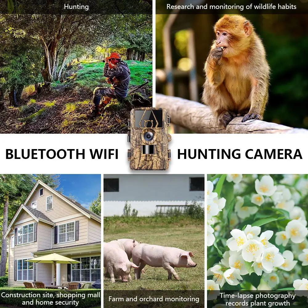กล้องติดตามกันน้ํา 8k Wifi Pr8 - Outdoor Hunting Camera Wifi บทวิจารณ์และราคา