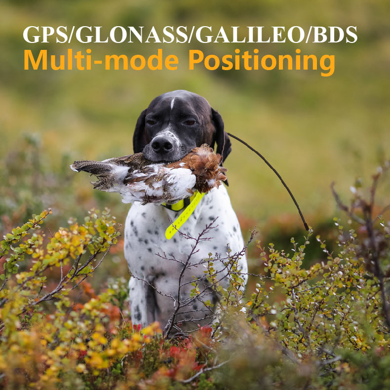 เครื่องติดตามสัตว์เลี้ยง GPS ร - Outdoor Hunting Dog Supply บทวิจารณ์และราคา