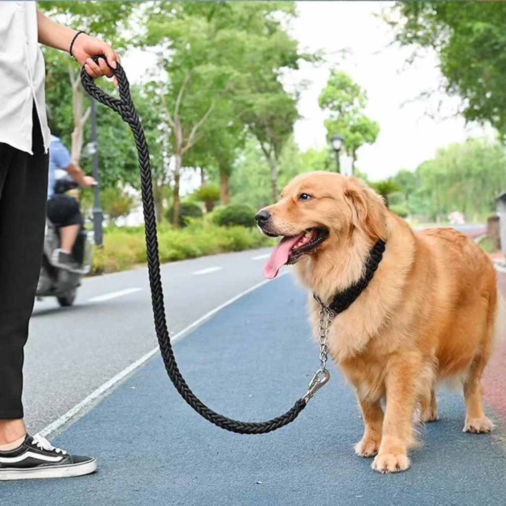 สายจูงสุนัขขนาดใหญ่แบบทนทาน สา - Outdoor Hunting Dogs บทวิจารณ์และราคา