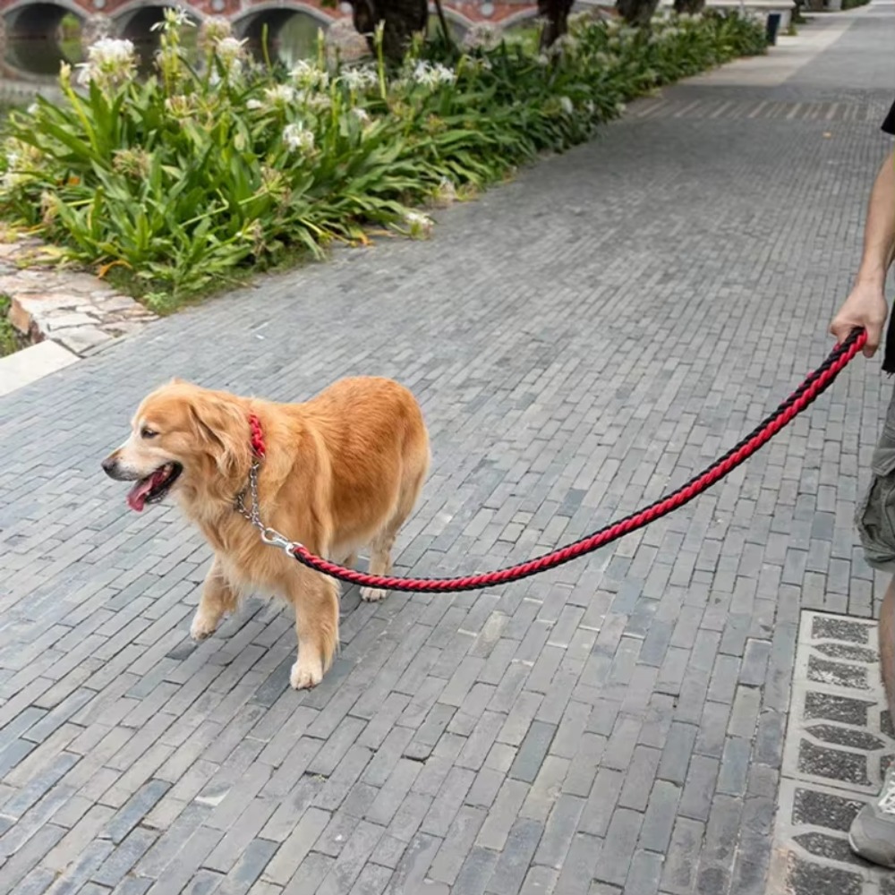 สายจูงสุนัขขนาดใหญ่แบบทนทาน สา - Outdoor Hunting Dogs บทวิจารณ์และราคา